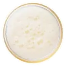 Ven a refrescarte con una deliciosa horchata o granizados de limón, café o leche merengada.